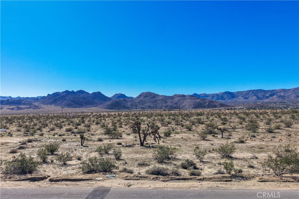 MLS #JT25246822 image #7