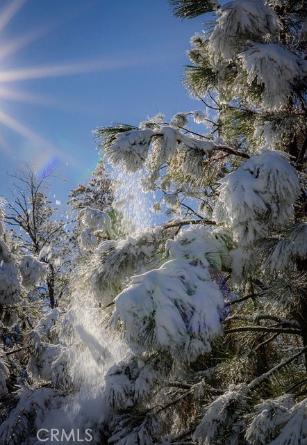 https://media.crmls.org/medias/23710962-4f45-458d-a0f4-f5e06ea32de8.jpg?preset=X-Large
