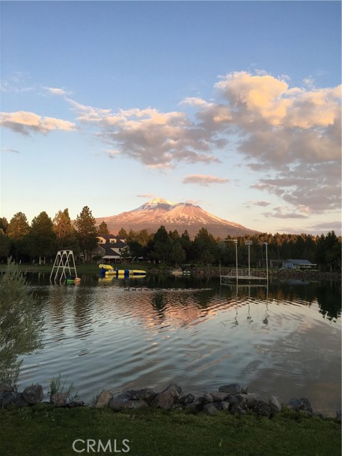 Swimming Pond With Toys