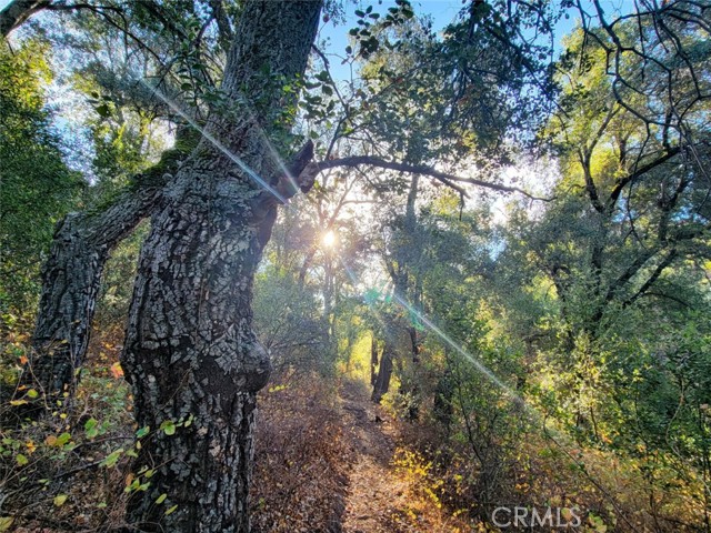 Detail Gallery Image 14 of 66 For 5049 Ca-78, Santa Ysabel,  CA 92070 - 3 Beds | 2/1 Baths