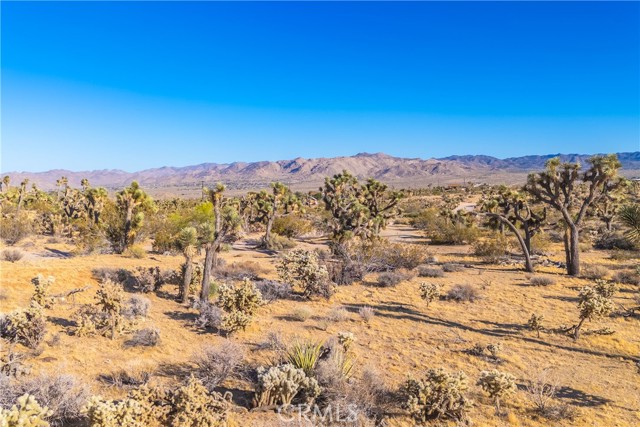 Detail Gallery Image 47 of 75 For 58871 Meredith Ct, Yucca Valley,  CA 92284 - 3 Beds | 2 Baths