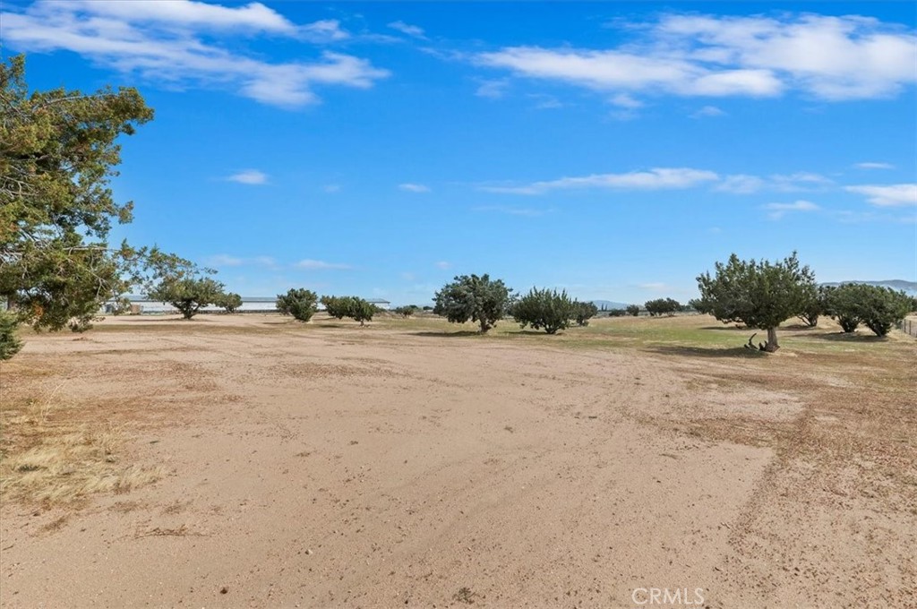 MLS #CV25073596 image #44