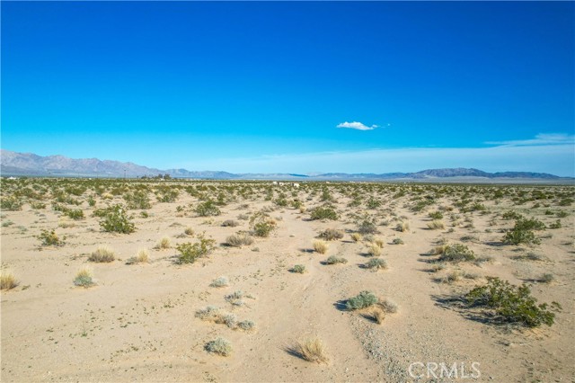 Detail Gallery Image 41 of 52 For 82623 Amboy Rd, Twentynine Palms,  CA 92277 - 0 Beds | 1 Baths