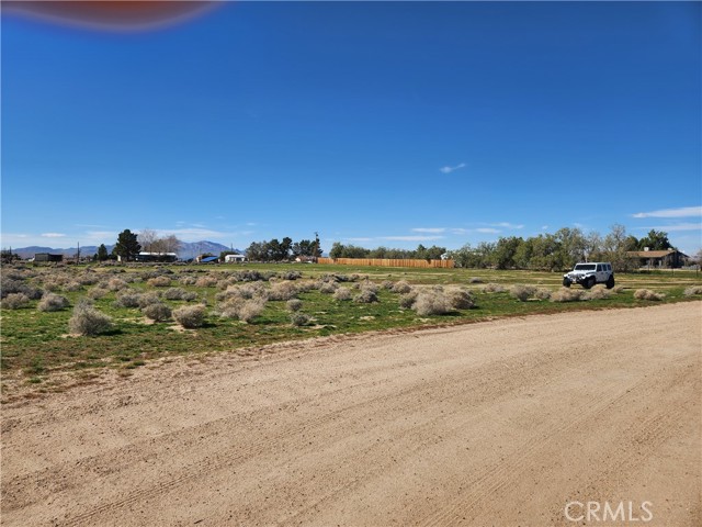 Detail Gallery Image 4 of 20 For 0 Yucca Rd, Newberry Springs,  CA 92365 - – Beds | – Baths