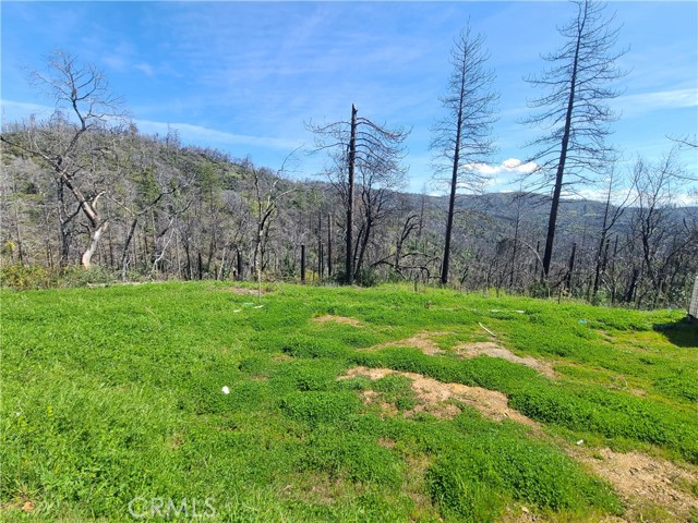 Detail Gallery Image 3 of 7 For 519 Little Ridge Road, Berry Creek,  CA 95916 - – Beds | – Baths