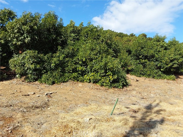 Detail Gallery Image 11 of 38 For 3 via Vaquero, Temecula,  CA 92590 - – Beds | – Baths