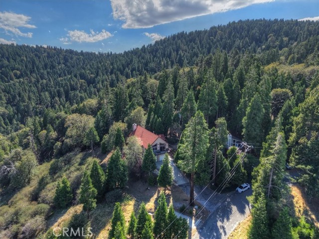 729 Minty Pine Drive, Cedarpines Park, CA 92322