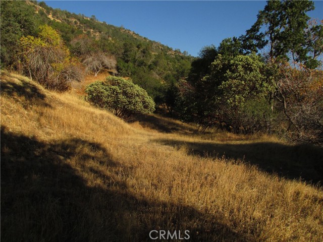 Detail Gallery Image 7 of 54 For 2 Ac Old Oaks Ct, North Fork,  CA 93643 - – Beds | – Baths