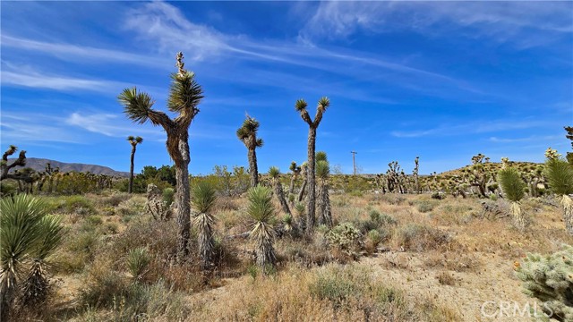 Detail Gallery Image 33 of 49 For 0 103rd St East Vicinity W14, –,  CA 93543 - – Beds | – Baths