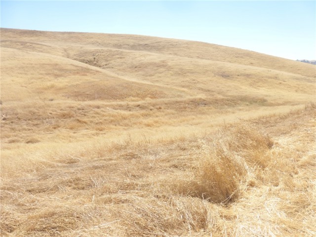 Detail Gallery Image 8 of 42 For 0 Douglas Rd. (Lots 40-43), San Miguel,  CA 93451 - – Beds | – Baths