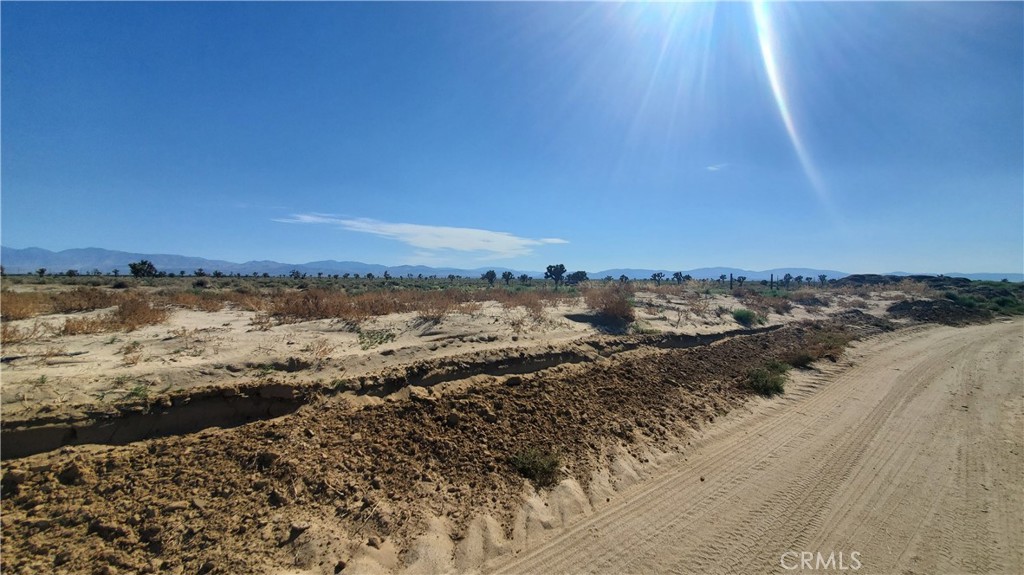 MLS #SR23171026 image #7