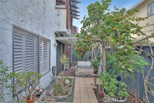 Beautifully Landscaped Backyard.  View From Kitchen Patio