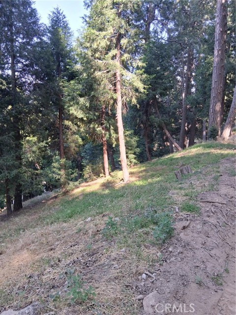 61 Evergreen Drive, Cedarpines Park CA: https://media.crmls.org/medias/23ad0c23-5c40-47a7-9276-b418ca44ef2b.jpg
