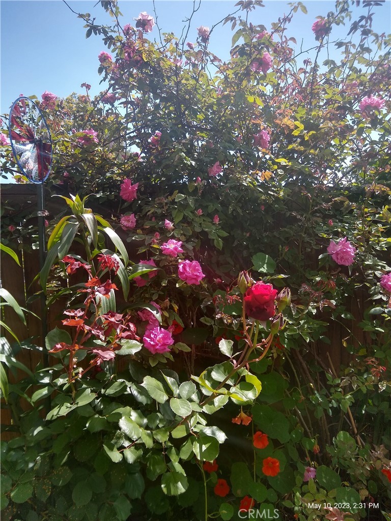 https://media.crmls.org/medias/23aeab44-3392-4734-a07a-7ac2cd7ac959.jpg?preset=X-Large