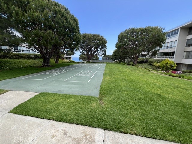 Shuffleboard Shuffleboard