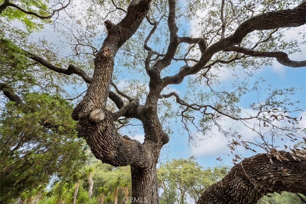 https://media.crmls.org/medias/23bdbe42-c1d7-4001-959b-229d572f6f98.jpg?preset=X-Large