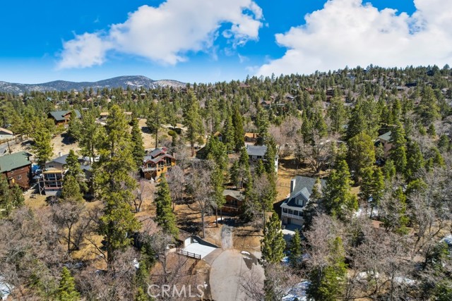 Detail Gallery Image 29 of 35 For 1218 Bow Canyon Ct, Big Bear Lake,  CA 92315 - 2 Beds | 1 Baths