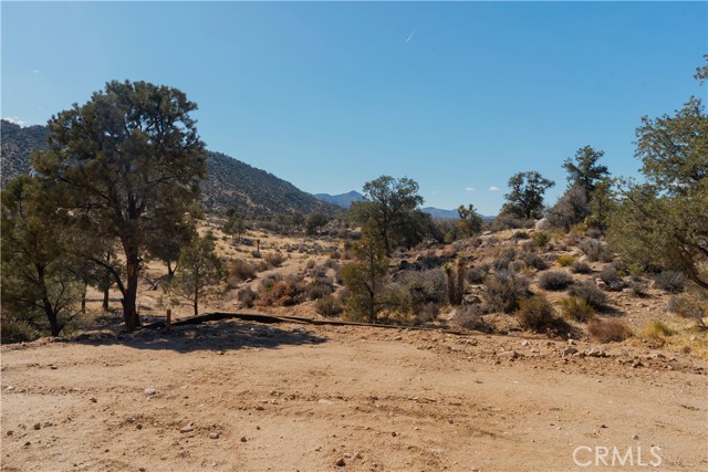 Detail Gallery Image 43 of 47 For 48317 Burns Canyon Rd, Pioneertown,  CA 92268 - 2 Beds | 1 Baths