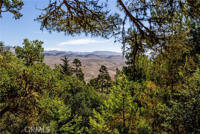 1420 Spencer Street, Cambria CA: https://media.crmls.org/medias/23c6a7c7-c61e-410d-b8ee-47b0ea903168.jpg