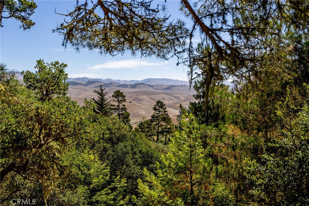 https://media.crmls.org/medias/23c6a7c7-c61e-410d-b8ee-47b0ea903168.jpg?preset=X-Large