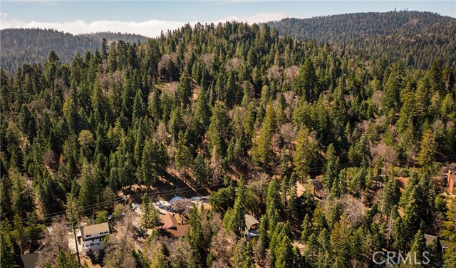 Detail Gallery Image 41 of 49 For 26980 Everest, Lake Arrowhead,  CA 92317 - 2 Beds | 2 Baths