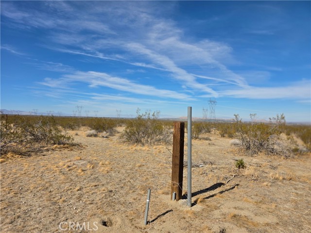 Front Image Thumbnail for CRSR25271578