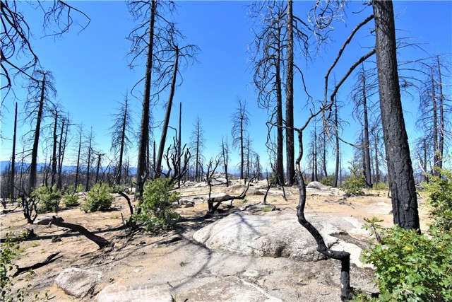 0 Bald Rock Road, Berry Creek, California 95916, ,Land,For Sale,0 Bald Rock Road,CROR22196331