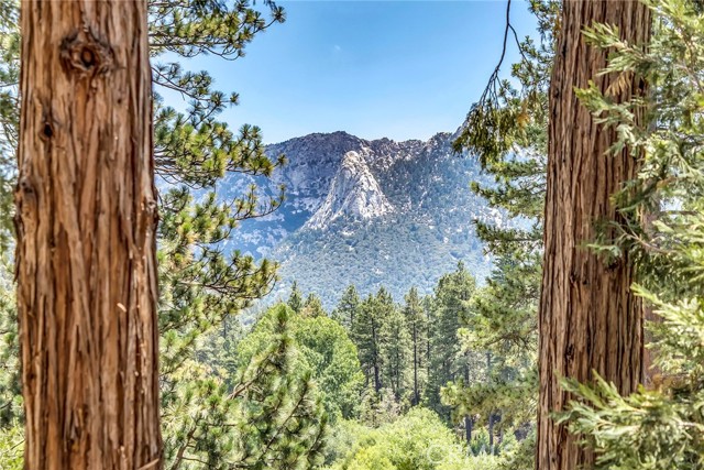 Detail Gallery Image 2 of 75 For 53299 Forest Lake Dr, Idyllwild,  CA 92549 - 4 Beds | 4/2 Baths