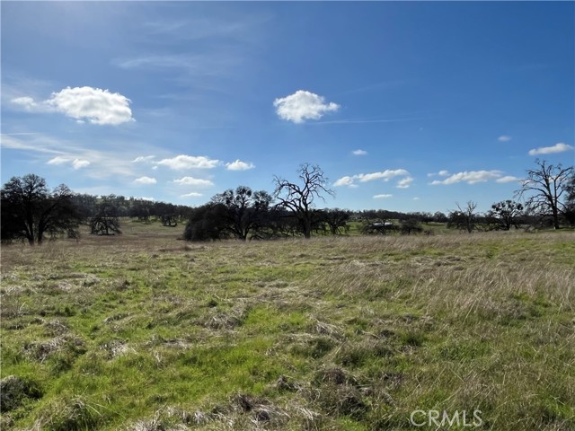 Detail Gallery Image 10 of 17 For 2463 Old Hwy, Catheys Valley,  CA 95306 - – Beds | – Baths