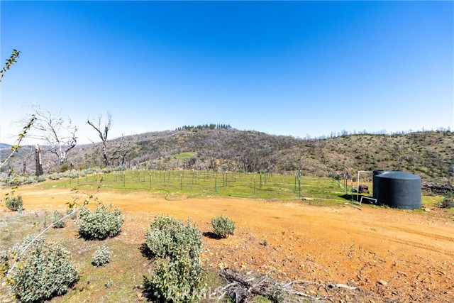 0 Big Ridge Road, Berry Creek CA: https://media.crmls.org/medias/23d08d42-f69d-43ad-bbae-6f0e968ef991.jpg
