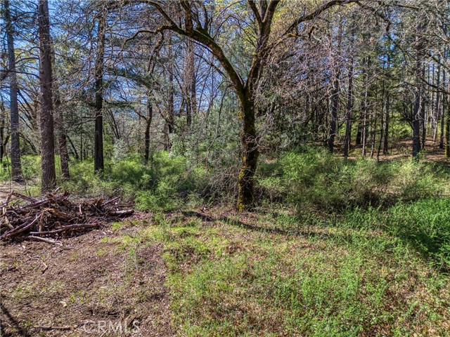 Detail Gallery Image 6 of 19 For 15347 Western Mine, Middletown,  CA 95461 - – Beds | – Baths