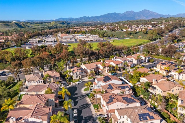 Image 50 of 57 For 30 Acanthus  