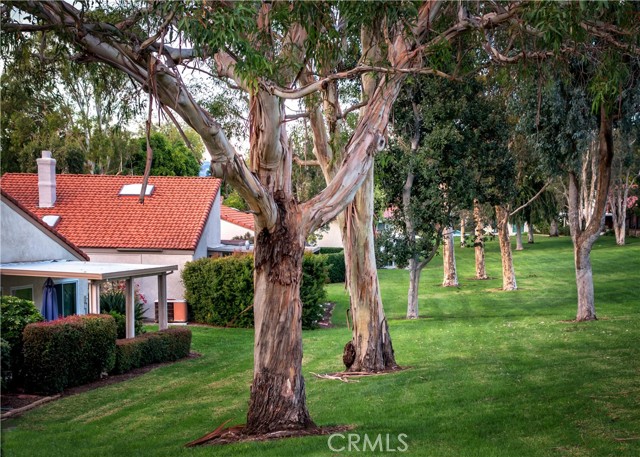 Detail Gallery Image 20 of 27 For 842 Ronda Sevilla #B,  Laguna Woods,  CA 92637 - 2 Beds | 2 Baths