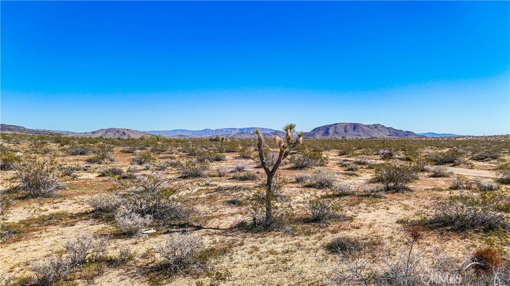 MLS #JT25078936 image #24