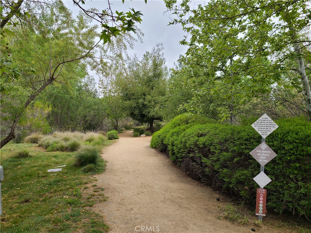 Image 29