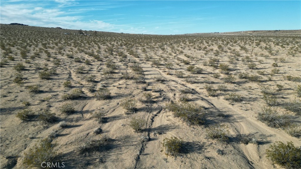 MLS #SB24059462 image #7