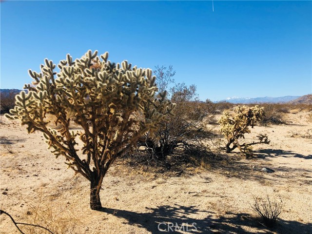 5 Appian, Twentynine Palms, CA, 92277 5 Appian, Twentynine Palms, CA, 92277