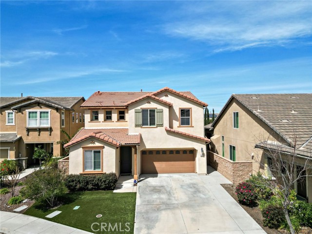 Front Image Thumbnail for CROC26053884