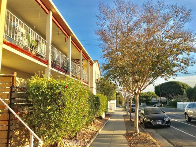 Front Image Thumbnail for CROC25272345