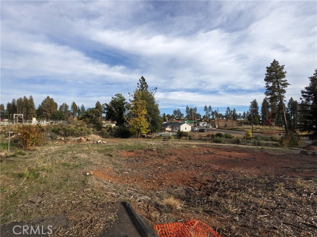 6642 Whittall Lane, Paradise, California 95969, ,Land,For Sale,6642 Whittall Lane,CRSN23205819