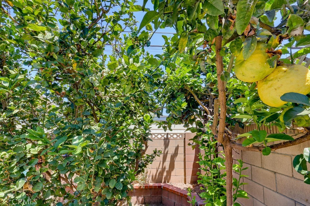 https://media.crmls.org/medias/23f16e38-2def-4ca2-997d-2926b2ab580b.jpg?preset=X-Large