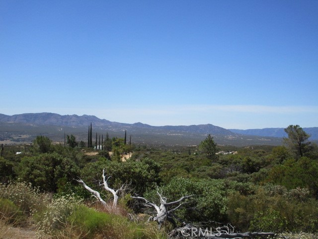 38111 Manzanita Mountain Lane, Anza CA: https://media.crmls.org/medias/23f49a0b-735b-4018-9a25-ae10b2bd5c5d.jpg