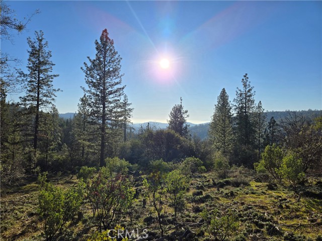 Front Image Thumbnail for CROR26021180