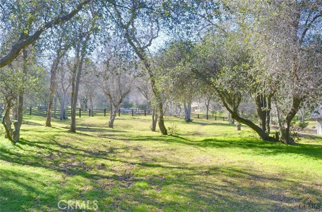 Detail Gallery Image 3 of 3 For 28060 Carlyle Springs Rd, Keene,  CA 93531 - – Beds | – Baths