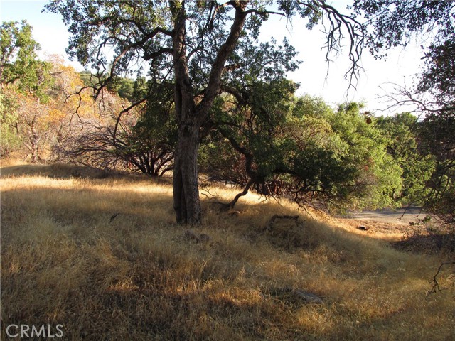 Detail Gallery Image 44 of 54 For 2 Ac Old Oaks Ct, North Fork,  CA 93643 - – Beds | – Baths