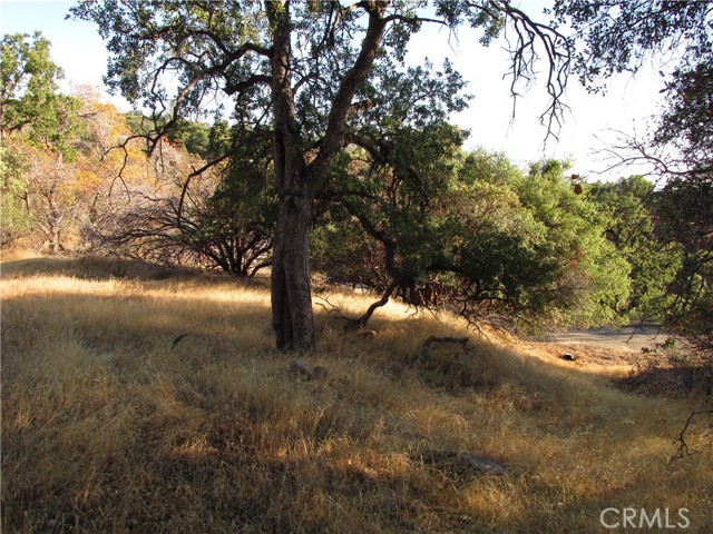 2 Old Oaks Court, North Fork, California 93643, ,Land,For Sale,2 Old Oaks Court,CRFR23180860