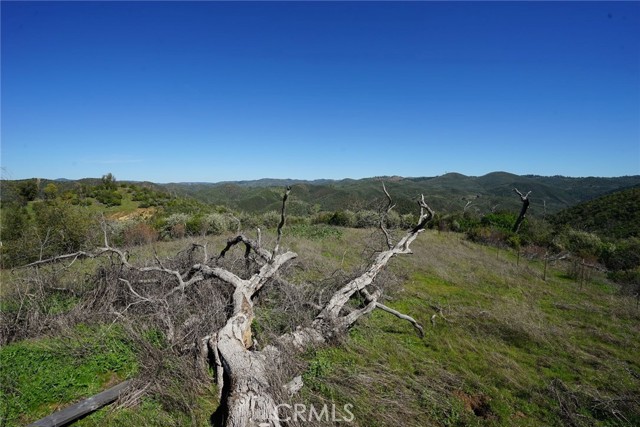 Image 26 of 34 For 8211 Maranatha Lane