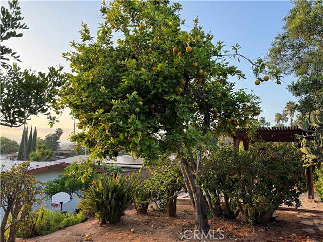 Detail Gallery Image 36 of 37 For 2716 Cita Ave, Escondido,  CA 92029 - 3 Beds | 2 Baths