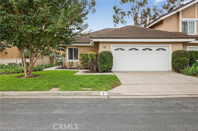 Front Image Thumbnail for CROC25265373