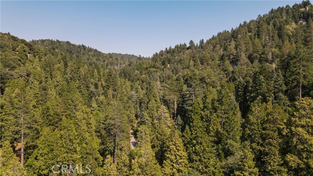 Detail Gallery Image 44 of 48 For 24941 Faulhorn Dr, Crestline,  CA 92325 - 3 Beds | 1/1 Baths